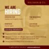 Solomon & Co. hiring